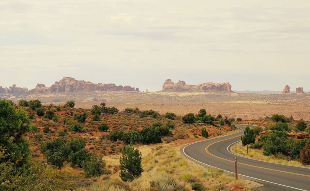 14 must-see places for travelers to enjoy wildlife