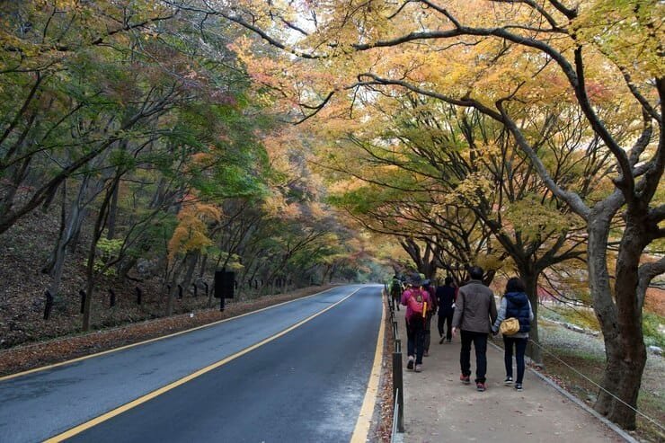 Top Road Trip Routes in South Korea for an Unforgettable Adventure